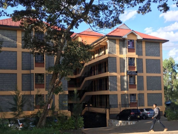 Ruaka apartment